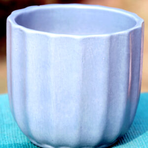 Blue Ribbed Ceramic Planter ThakurJi Organics