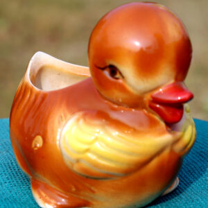 Brown Duck Shaped Ceramic Planter ThakurJi Organics