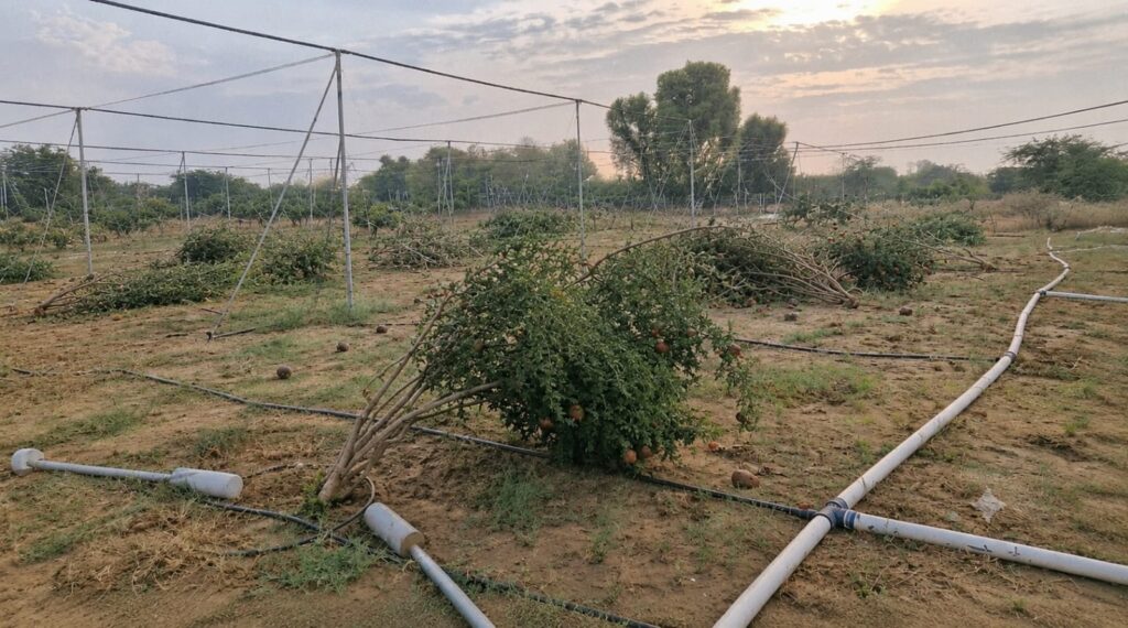 Dust storm affecting agriculture fields in Rajasthan