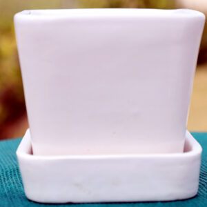 Square Ceramic Planter with Tray ThakurJi ORganics