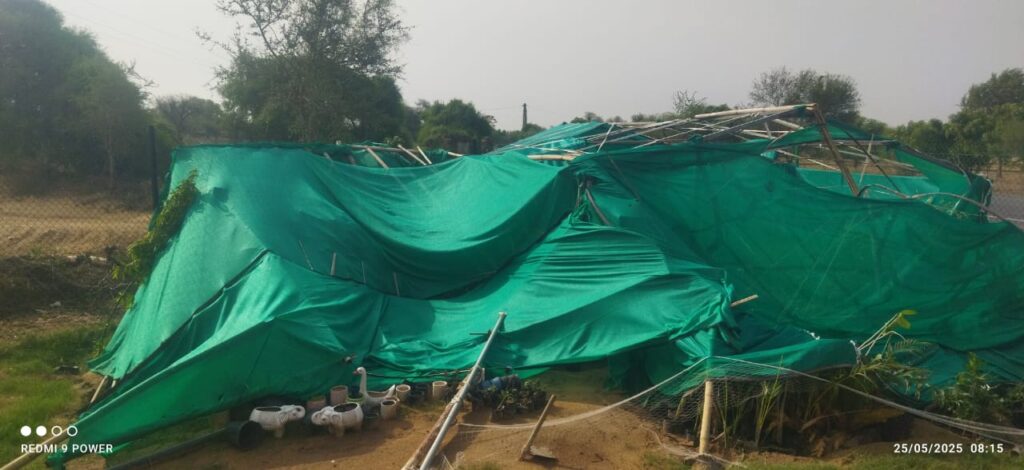Storms affecting infrastructure in fields in Rajasthan