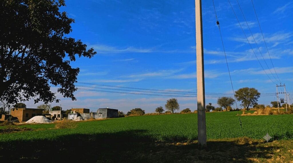 ThakurJi Organics organic farm view