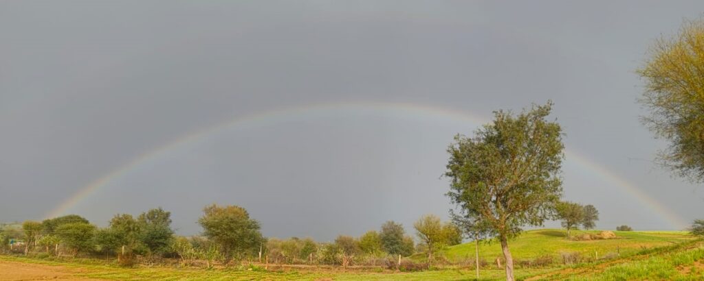Organic-farming landscape at ThakurJi Organics, Rajasthan