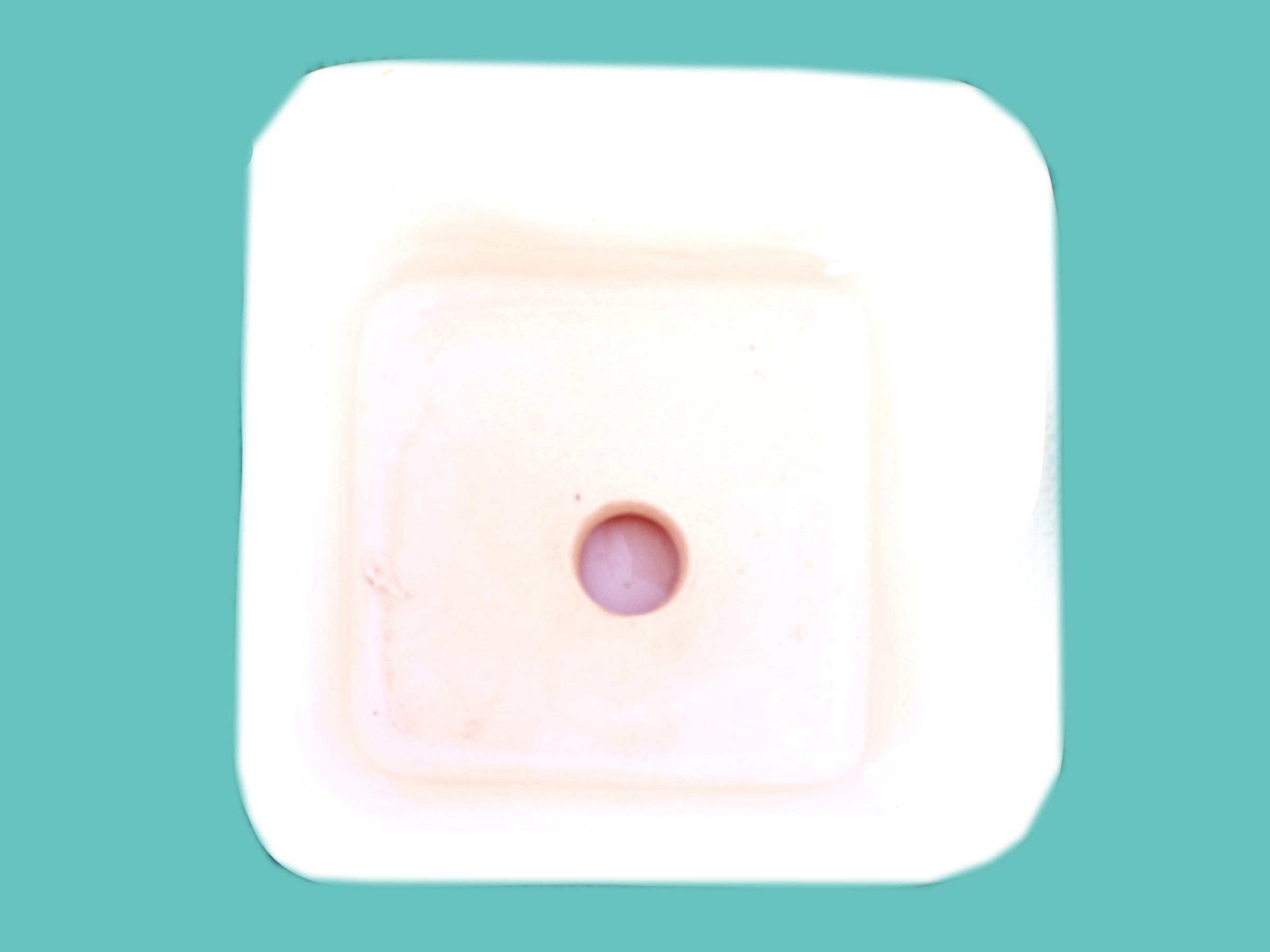 White Square Ceramic Planter with Tray ThakurJi Organics